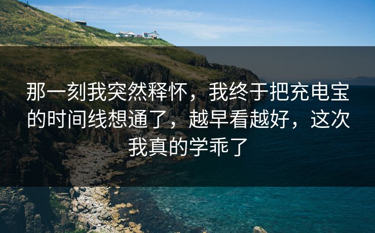 那一刻我突然释怀，我终于把充电宝的时间线想通了，越早看越好，这次我真的学乖了