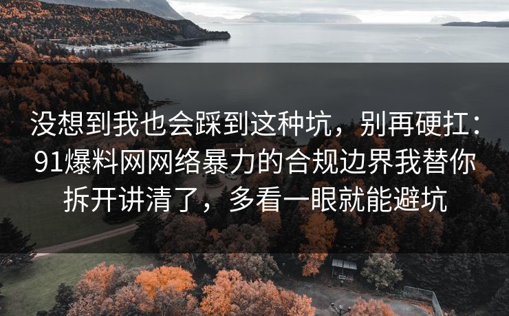 没想到我也会踩到这种坑，别再硬扛：91爆料网网络暴力的合规边界我替你拆开讲清了，多看一眼就能避坑
