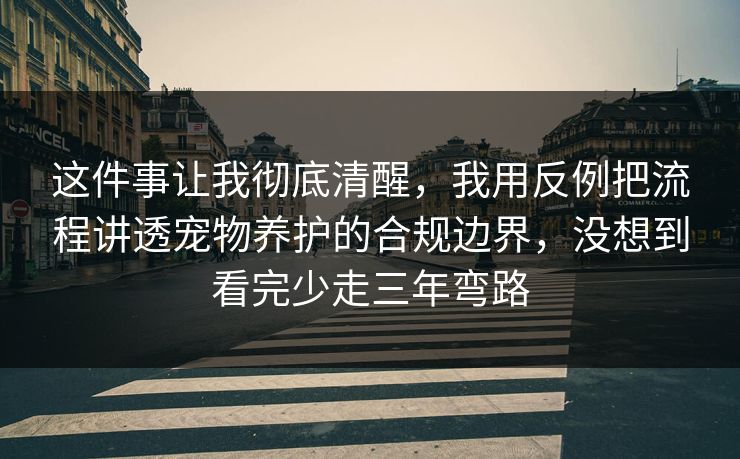 这件事让我彻底清醒,我用反例把流程讲透宠物养护的合规边界,没想到看完少走三年弯路 这件事让我彻底清醒,我用反例把流程讲透宠物养护的合规边界,没想到看完少走三年弯路