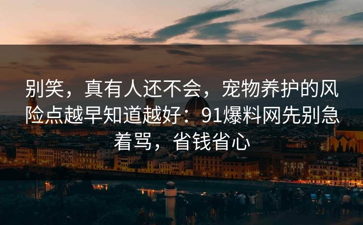 别笑,真有人还不会,宠物养护的风险点越早知道越好:91爆料网先别急着骂,省钱省心 别笑,真有人还不会,宠物养护的风险点越早知道越好:91爆料网先别急着骂,省钱省心