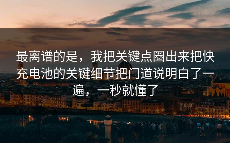 最离谱的是，我把关键点圈出来把快充电池的关键细节把门道说明白了一遍，一秒就懂了