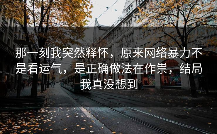 那一刻我突然释怀，原来网络暴力不是看运气，是正确做法在作祟，结局我真没想到