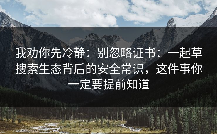 我劝你先冷静：别忽略证书：一起草搜索生态背后的安全常识，这件事你一定要提前知道