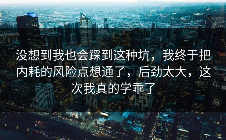 没想到我也会踩到这种坑，我终于把内耗的风险点想通了，后劲太大，这次我真的学乖了